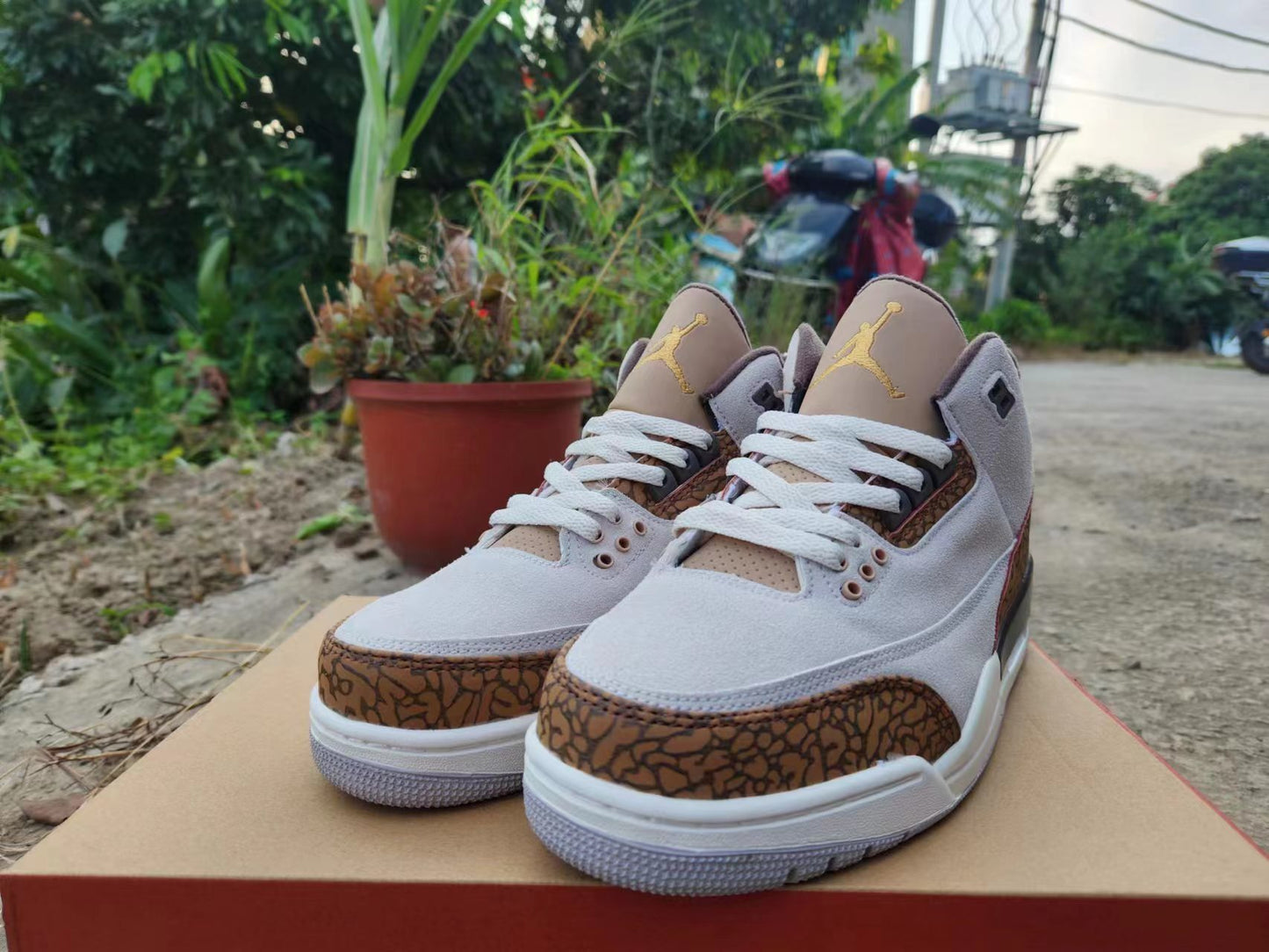 Nike Air Jordan 3
