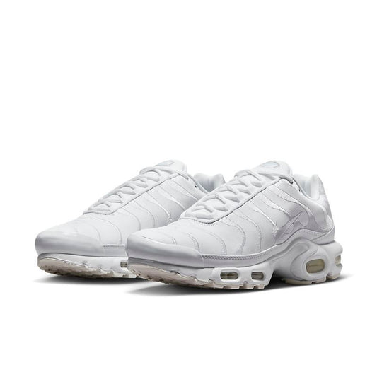 Nike Air Max Plus