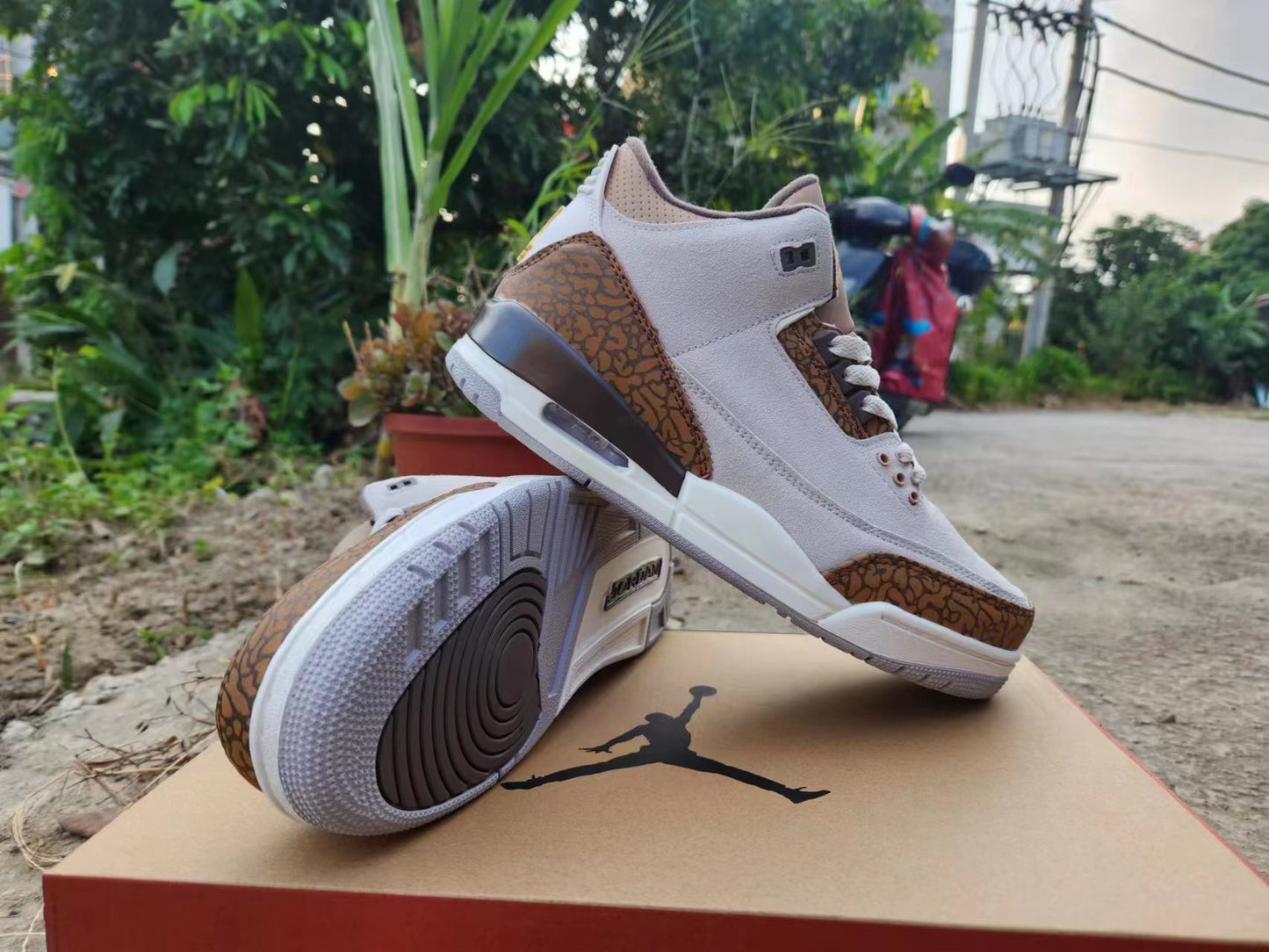 Nike Air Jordan 3
